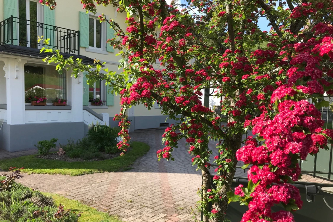 entrée maison d'hôtes Villa Eugène - La Bresse
